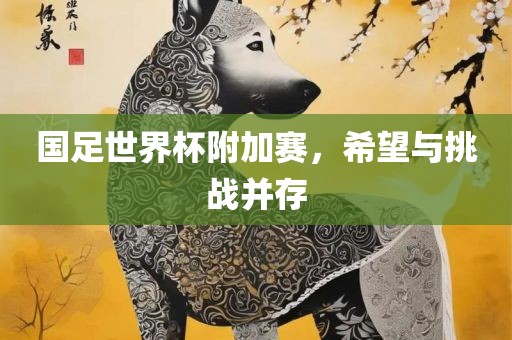 国足世界杯附加赛，希望与挑战并存