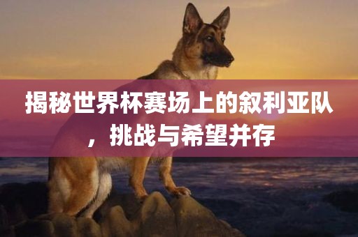 揭秘世界杯赛场上的叙利亚队，挑战与希望并存