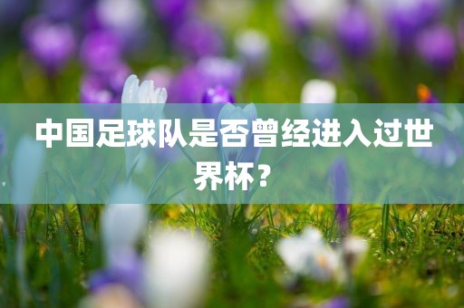 中国足球队是否曾经进入过世界杯？