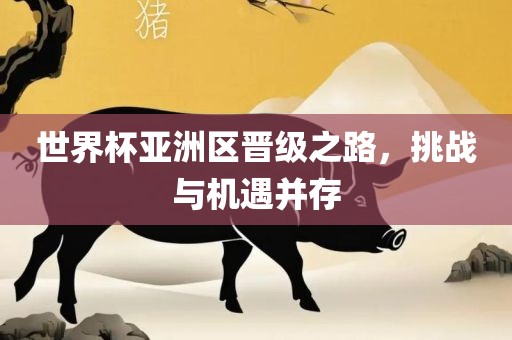 世界杯亚洲区晋级之路，挑战与机遇并存
