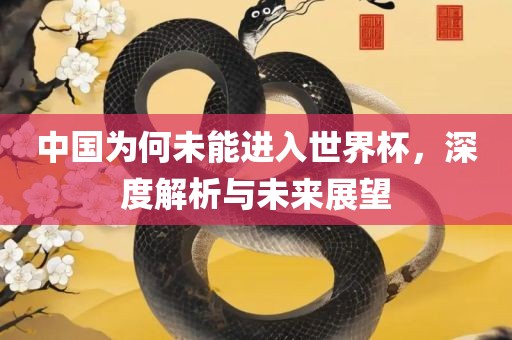 中国为何未能进入世界杯，深度解析与未来展望
