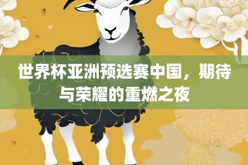 世界杯亚洲预选赛中国，期待与荣耀的重燃之夜