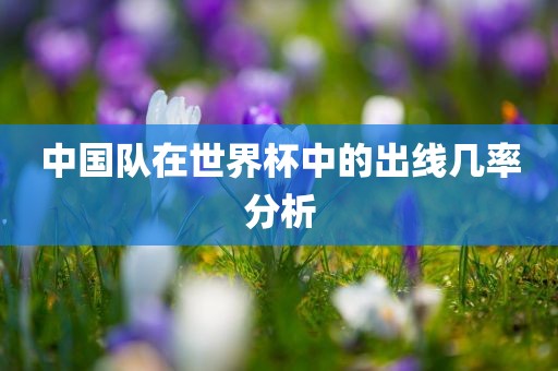 中国队在世界杯中的出线几率分析