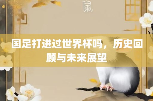 国足打进过世界杯吗，历史回顾与未来展望