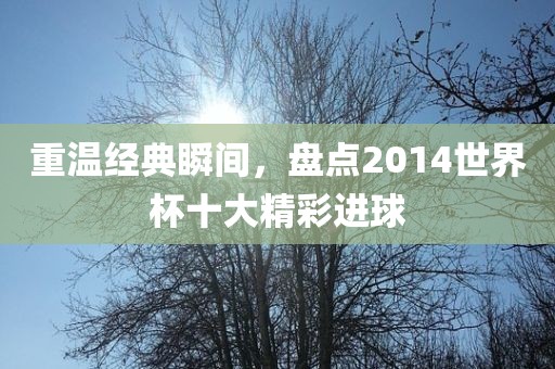重温经典瞬间，盘点2014世界杯十大精彩进球