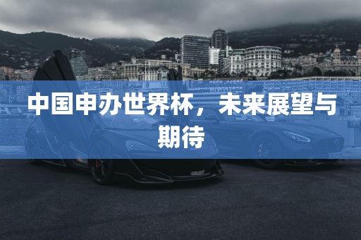 中国申办世界杯，未来展望与期待