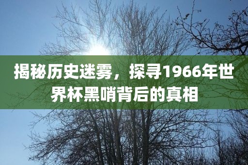 揭秘历史迷雾，探寻1966年世界杯黑哨背后的真相