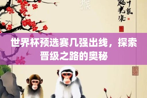 世界杯预选赛几强出线，探索晋级之路的奥秘