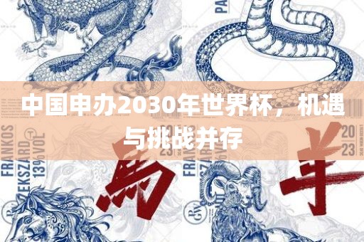 中国申办2030年世界杯，机遇与挑战并存