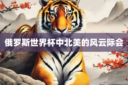 俄罗斯世界杯中北美的风云际会眉山市正发家政服务有限公司