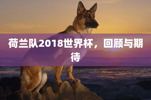 荷兰队2018世界杯，回顾与期待