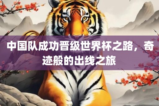 中国队成功晋级世界杯之路，奇迹般的出线之旅