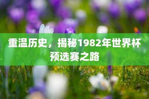 重温历史，揭秘1982年世界杯预选赛之路