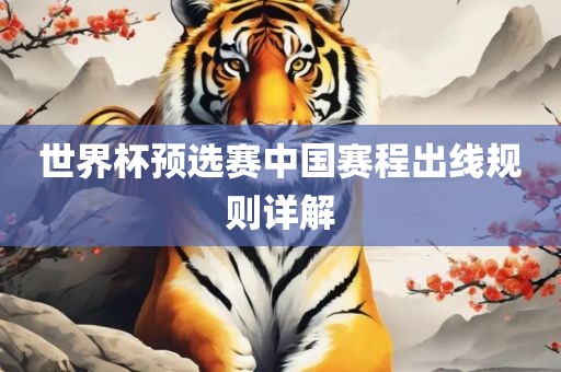 世界杯预选赛中国赛程出线规则详解