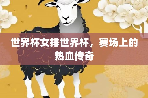 世界杯女排世界杯，赛场上的热血传奇
