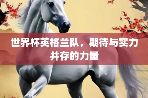 世界杯英格兰队，期待与实力并存的力量