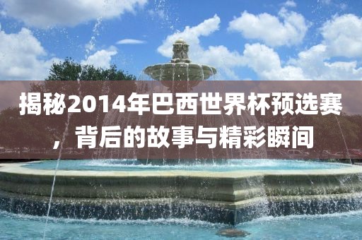 揭秘2014年巴西世界杯预选赛，背后的故事与精彩瞬间眉山市正发家政服务有限公司