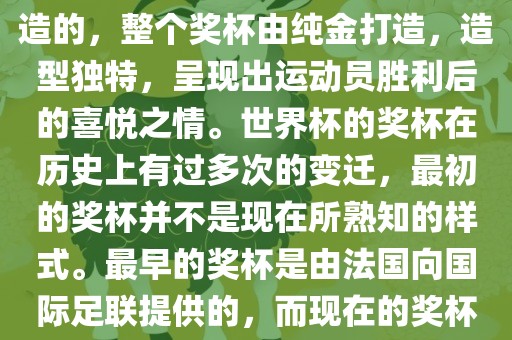 世界杯的杯来源于为了纪念雷米特，同时也是为了鼓励足球运动的发展，国际足联将这一荣誉奖杯命名为雷米特杯。其最初是由法国雕刻家设计并创造的，整个奖杯由纯金打造，造型独特，呈现出运动员胜利后的喜悦之情。世界杯的奖杯在历史上有过多次的变迁，最初的奖杯并不是现在所熟知的样式。最早的奖杯是由法国向国际足联提供的，而现在的奖杯是在多次设计之后最终确定的。因此，世界杯的杯来源于对足球运动的纪念和鼓励，同时也是经过多次设计和改进而成的。