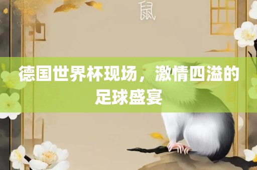 德国世界杯现场，激情四溢的足球盛宴