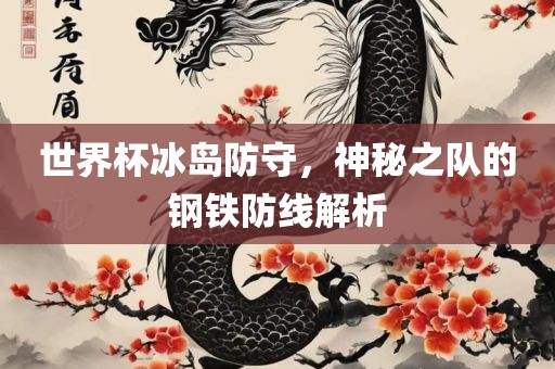 世界杯冰岛防守，神秘之队的钢铁防线解析