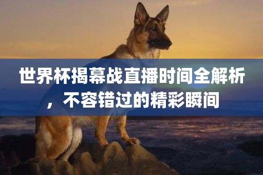 世界杯揭幕战直播时间全解析，不容错过的精彩瞬间