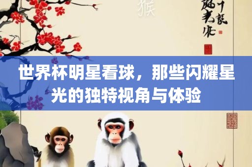 世界杯明星看球，那些闪耀星光的独特视角与体验