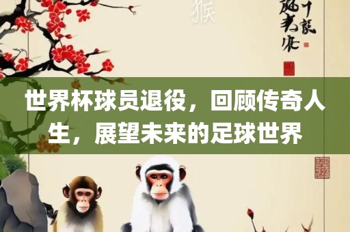 世界杯球员退役，回顾传奇人生，展望未来的足球世界