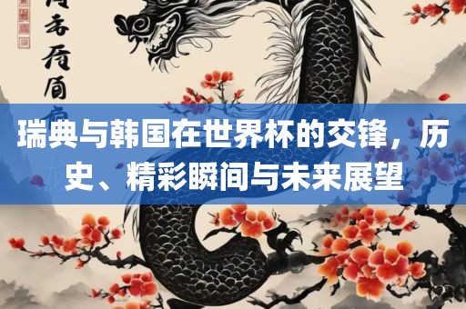 瑞典与韩国在世界杯的交锋，历史、精彩瞬间与未来展望
