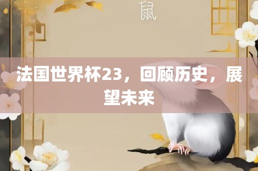 法国世界杯23，回顾历史，展望未来