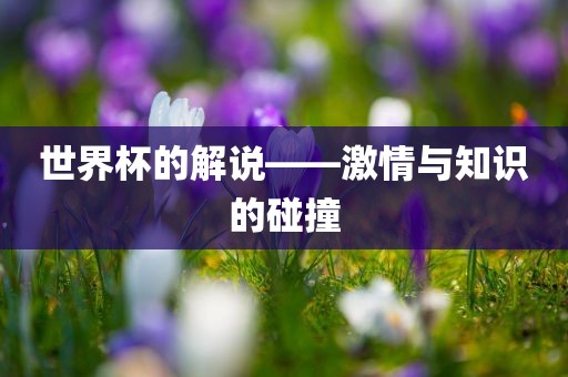 世界杯的解说——激情与知识的碰撞