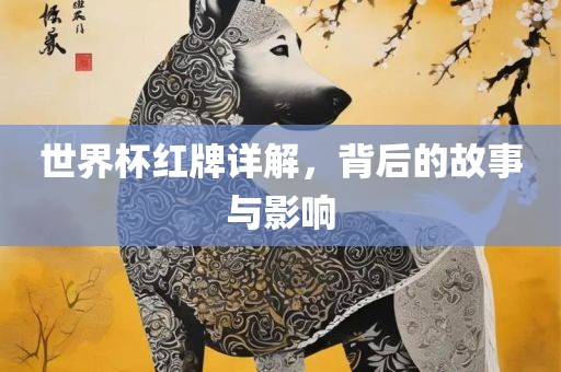 世界杯红牌详解，背后的故事与影响