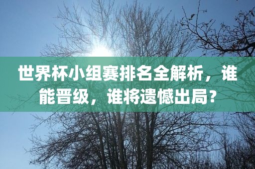 世界杯小组赛排名全解析，谁能晋级，谁将遗憾出局？眉山市正发家政服务有限公司
