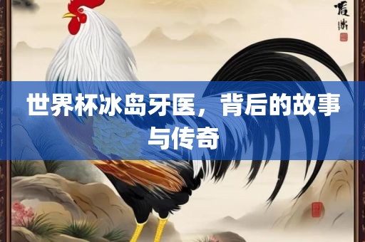 世界杯冰岛牙医，背后的故事与传奇