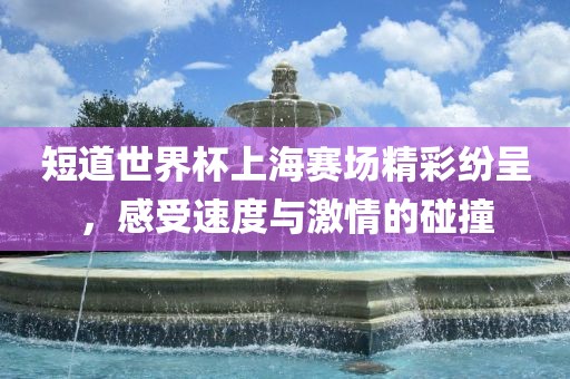 短道世界杯上海赛场精彩纷呈，感受速度与激情的碰撞