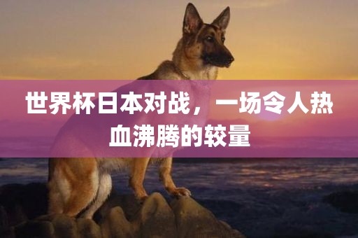世界杯日本对战，一场令人热血沸腾的较量