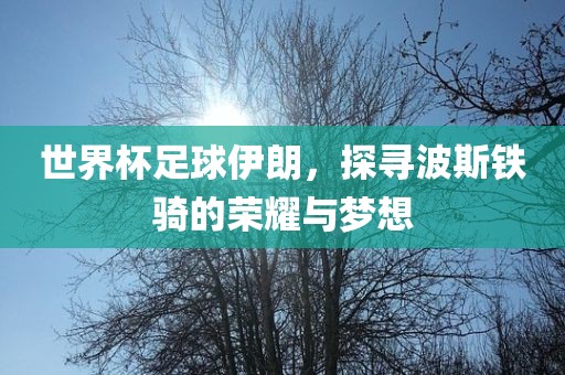 世界杯足球伊朗，探寻波斯铁骑的荣耀与梦想