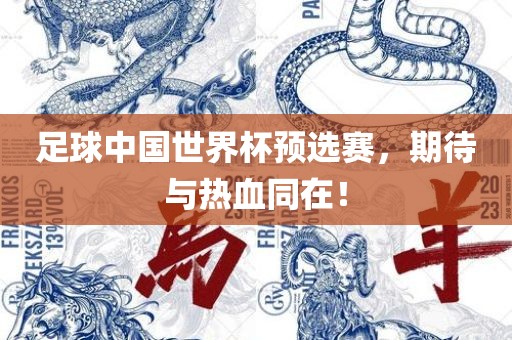 足球中国世界杯预选赛，期待与热血同在！