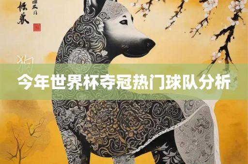 世界杯夺冠热门球队