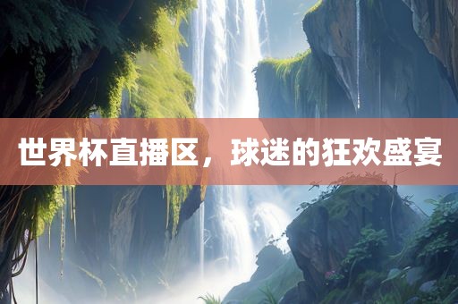 世界杯直播区，球迷的狂欢盛宴