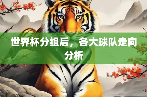 世界杯分组后，各大球队走向分析