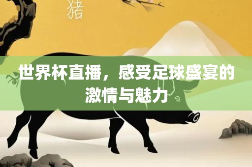世界杯直播，感受足球盛宴的激情与魅力眉山市正发家政服务有限公司