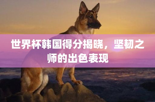 世界杯韩国得分揭晓，坚韧之师的出色表现