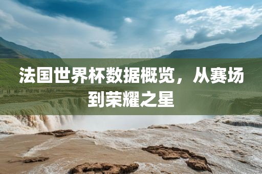 法国世界杯数据概览，从赛场到荣耀之星