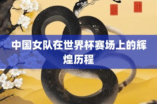 中国女队在世界杯赛场上的辉煌历程
