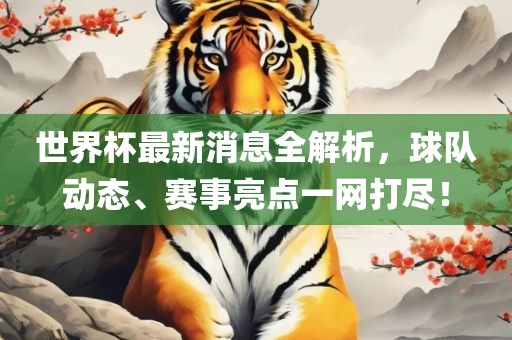 世界杯最新消息全解析，球队动态、赛事亮点一网打尽！眉山市正发家政服务有限公司
