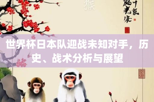 世界杯日本队迎战未知对手，历史、战术分析与展望