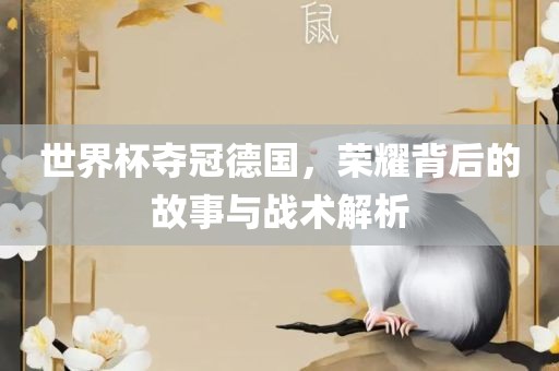 世界杯夺冠德国，荣耀背后的故事与战术解析