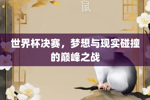 世界杯决赛，梦想与现实碰撞的巅峰之战