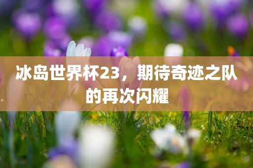 冰岛世界杯23，期待奇迹之队的再次闪耀