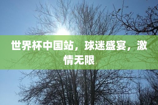 世界杯中国站，球迷盛宴，激情无限